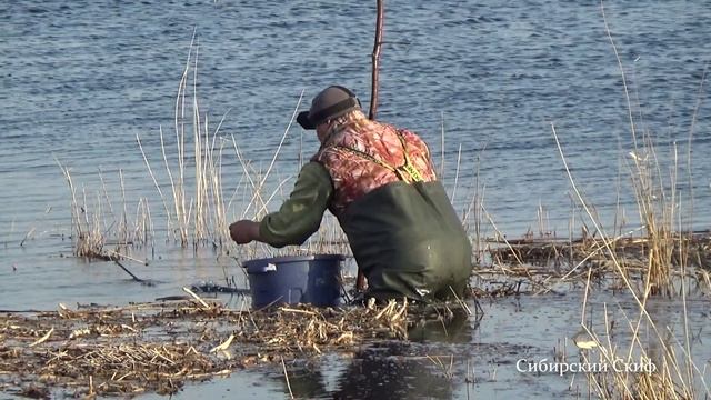 Зарыбление водоёма карасём смотреть онлайн