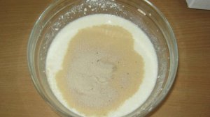 Дрожжевые оладушки на кефире