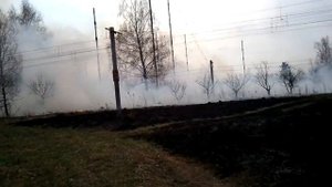 Горит сухая трава