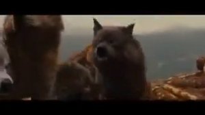 Клип сумерки сага рассвет часть первая.
