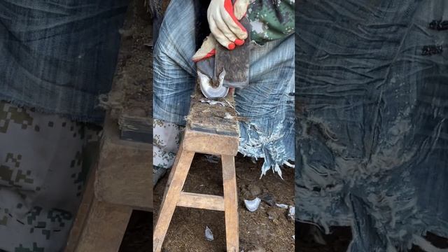 The master worked very hard on hoof trimming!丨ASMR丨Donkey hoof cutting sound