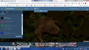 Получение свежих космоснимков (спутниковых снимков) за минуту любого участка земли.