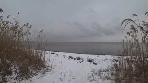 КРАСНОДАРСКИЙ КРАЙ. ПРОГУЛКА ПО ПОСЕЛКУ. Поселок Приморский Темрюкский район