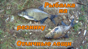 Рыбалка на резинку. Отличные лещи.mp4
