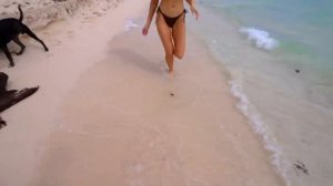 Алекса Уолтер с интервью в Тулуме, Мексика