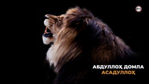 Хамза ибн Абдул Мутталибнинг исломга кириши - Абдуллох домла