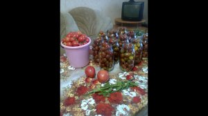 Супер урожайный томат для консервирования Черный мавр / какие сорта томата лучше?