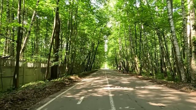 В день 82-летия бабуля пришла в свадебный салон за платьем… Клиентку высмеяли, но ее ответ шокирова