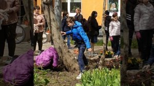 Акция Посади цветок Победы