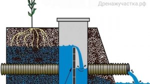 Умная дренажная система.