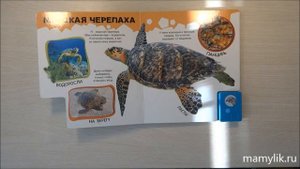 Про веселого дельфина и не только. Азбукварик. Отзыв