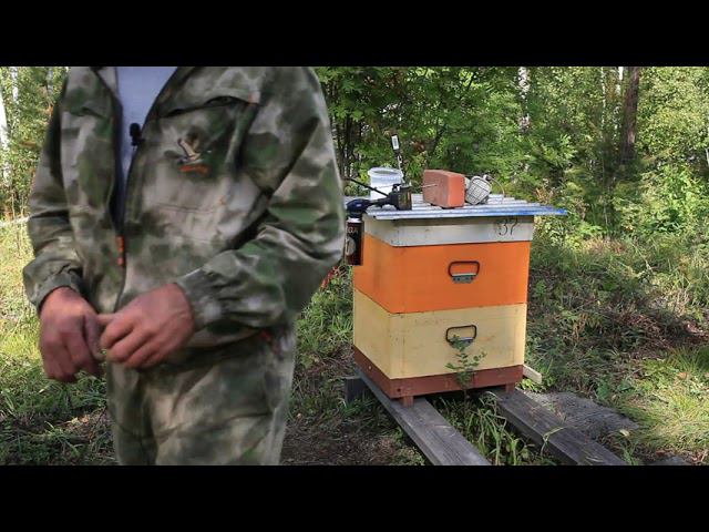 обработка от клеща сублиматором смотреть онлайн