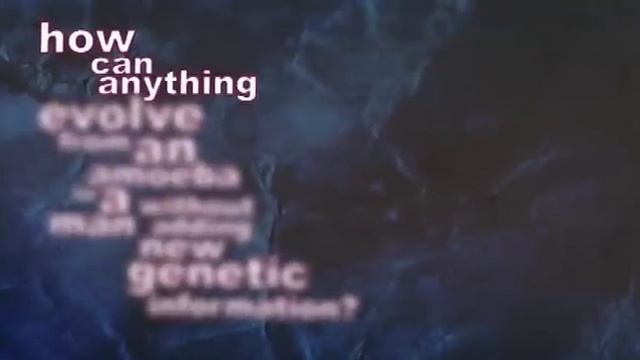 DESTROYING Evolution In Under 3 Minutes смотреть онлайн