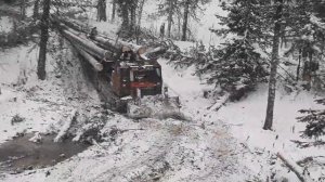 Заготовка леса