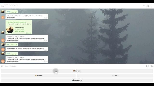 Обзор платформы parts-soft.ru. Личный кабинет клиента на сайте. Оформление заказа на автозапчасти. смотреть онлайн