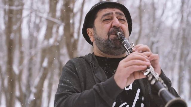 Norayr Barseghyan - Srtis Larerov (cover) / Նորայր Բարսեղյան - Սրտիս Լարերով (cover)