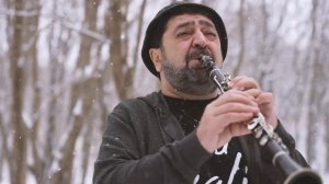 Norayr Barseghyan - Srtis Larerov (cover) / Նորայր Բարսեղյան - Սրտիս Լարերով (cover)