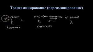 Лекция 11 Часть 3 Трансаминирование АК