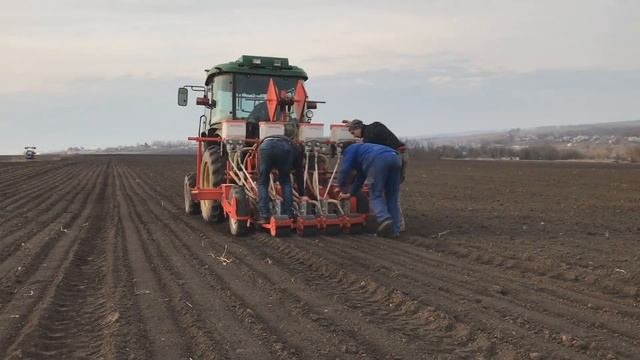 ПОСЕВ РЕДИСКИ  8 МАРТА 2019 ТРАКТОР JOHN DEERE 3045B  И СЕЯЛКА GASPARDO