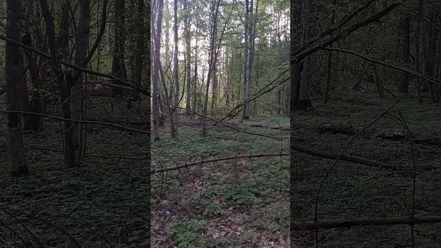 11 мая 2023 г. смотреть онлайн