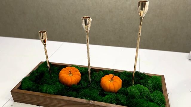 Композиция из стабилизированного мха / Сенсорная коробка / DIY смотреть онлайн