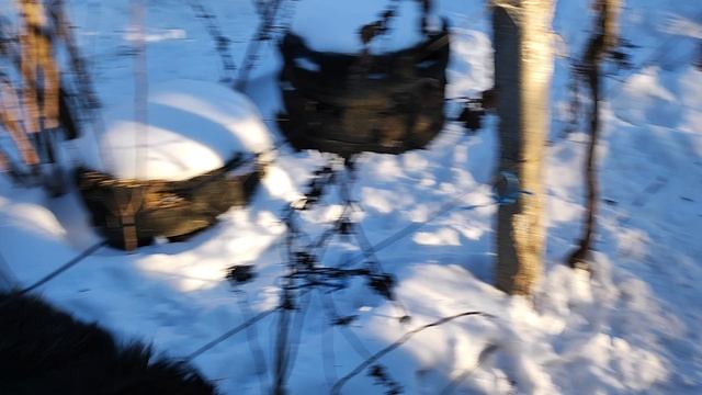 Хэппи, Халк и утренние гонки