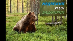 Медвежий угол Башкирии 2022.