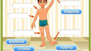 Изучаем части тела ИГРА Познавательный мультик