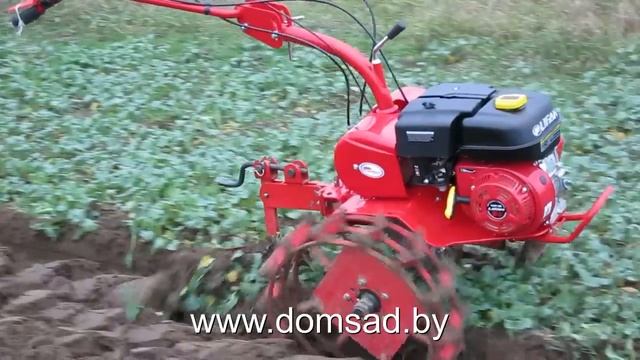 Как пашет мотоблок "Салют 100".