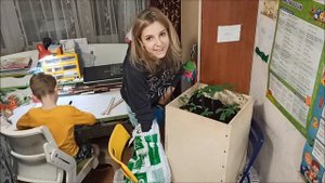 Пересадка канадского дуба