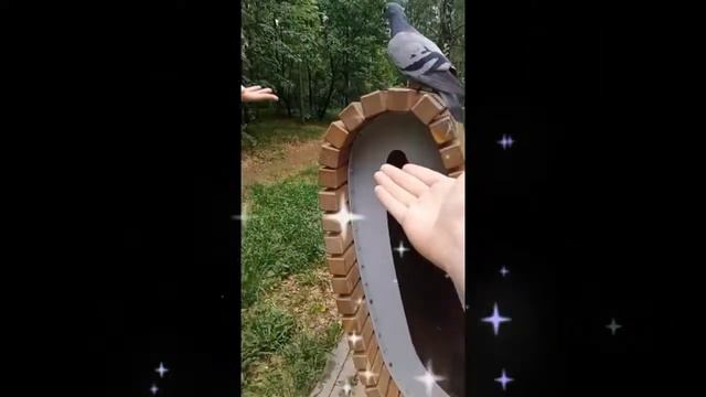 просто гуляю и тут голубь:)мне нужно 6 лайков пж:) с другом поспорил смотреть онлайн