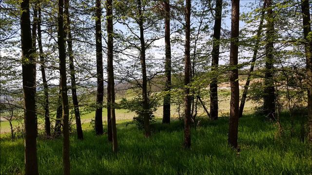 [0285]🙏 Евангелие по Матфею глава 25 смотреть онлайн