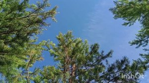 Отдых на водохранилище всей семьей. Янгель 2021г.