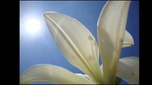 РЕЛАКС _ Восстановление Сил и ЭНЕРГИИ