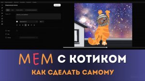 Создадим МЕМ с котом «Хьюстон, у нас проблемы» | Movavi для начинающих