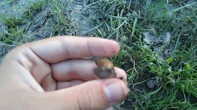 Дачи первая часть смотреть онлайн