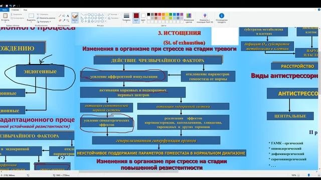 Адаптация и стресс патофизиология. Механизмы. Антистрессорные Механизмы.