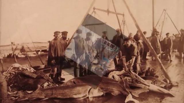 Е.Чужой "Даль астраханская" смотреть онлайн