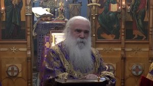 Неделя Прп. Иоанна Лествичника. Первосвятительское слово после чтения Евангелия 03_04_22.