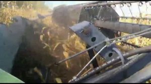 Уборка кукурузы прямой жаткой, эксперимент!!!!!