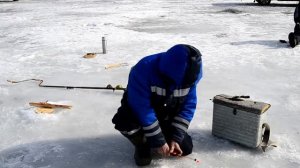 Весн Ангара- Усть Куда.2016 годРыбалка на хариуса