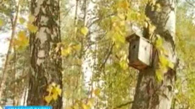 Окский биосферный заповедник готовится к спячке смотреть онлайн