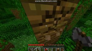 мйнкравт начало 1№ кстати лаги только в начале