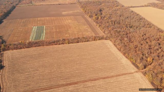 Алексеевский лес на слиянии реки Миус и Крынки - видео с квадрокоптера / Ростов-экстрим смотреть онлайн