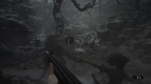 Resident Evil 8: Village — СЕКРЕТНЫЙ БОСС И ЧАША БЕРЕНГАРИО / Убить босса и сколько стоит чаша