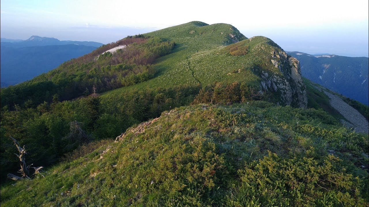 01-02.06.2019 Терзиян - Алтубинал - Шесси смотреть онлайн