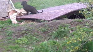 Как говориться: "Дурному не скучно й самому"