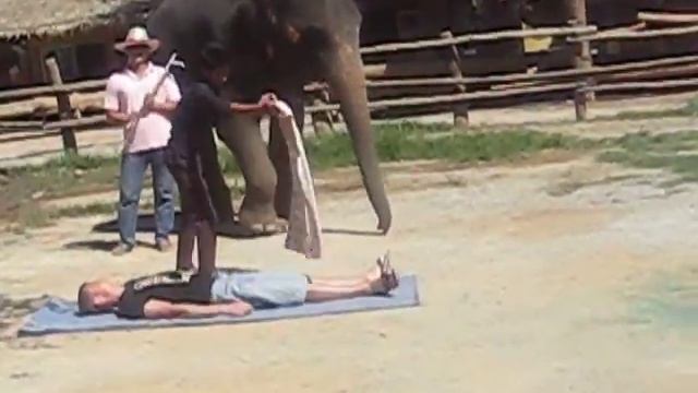 Тайский массаж - слон смотреть онлайн