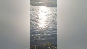 плавка меди и латуни в муфельной печи от Плавка Про фирмы