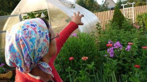 Видео привет с 6 соток 18 июля 2024 года,